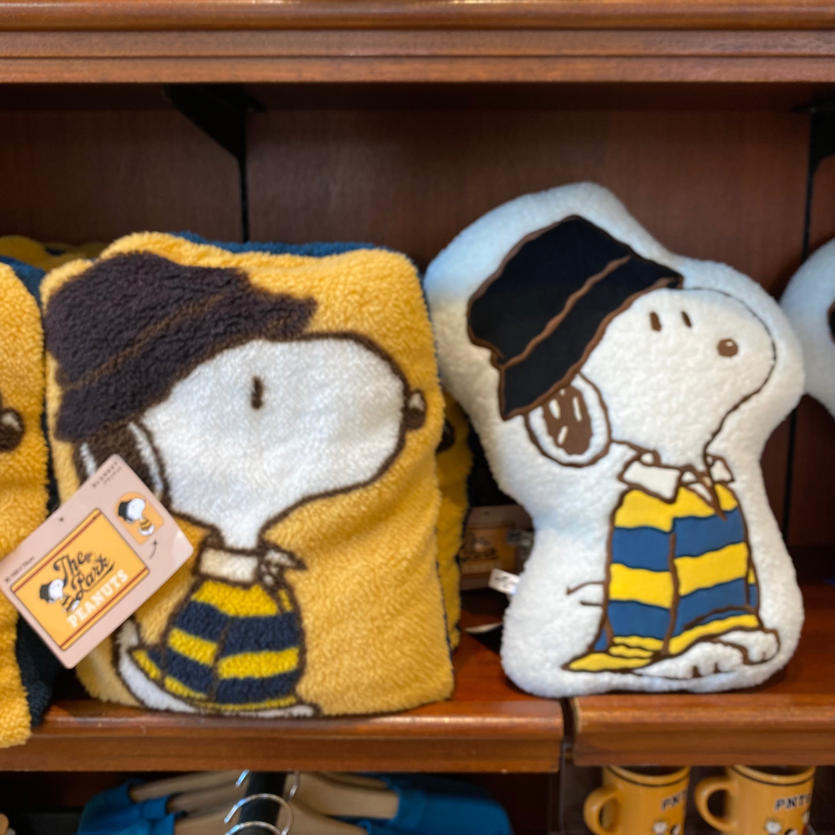 【訂貨】USJ Peanuts Hang Around THE PARK - 咕𠱸 / 毛毯