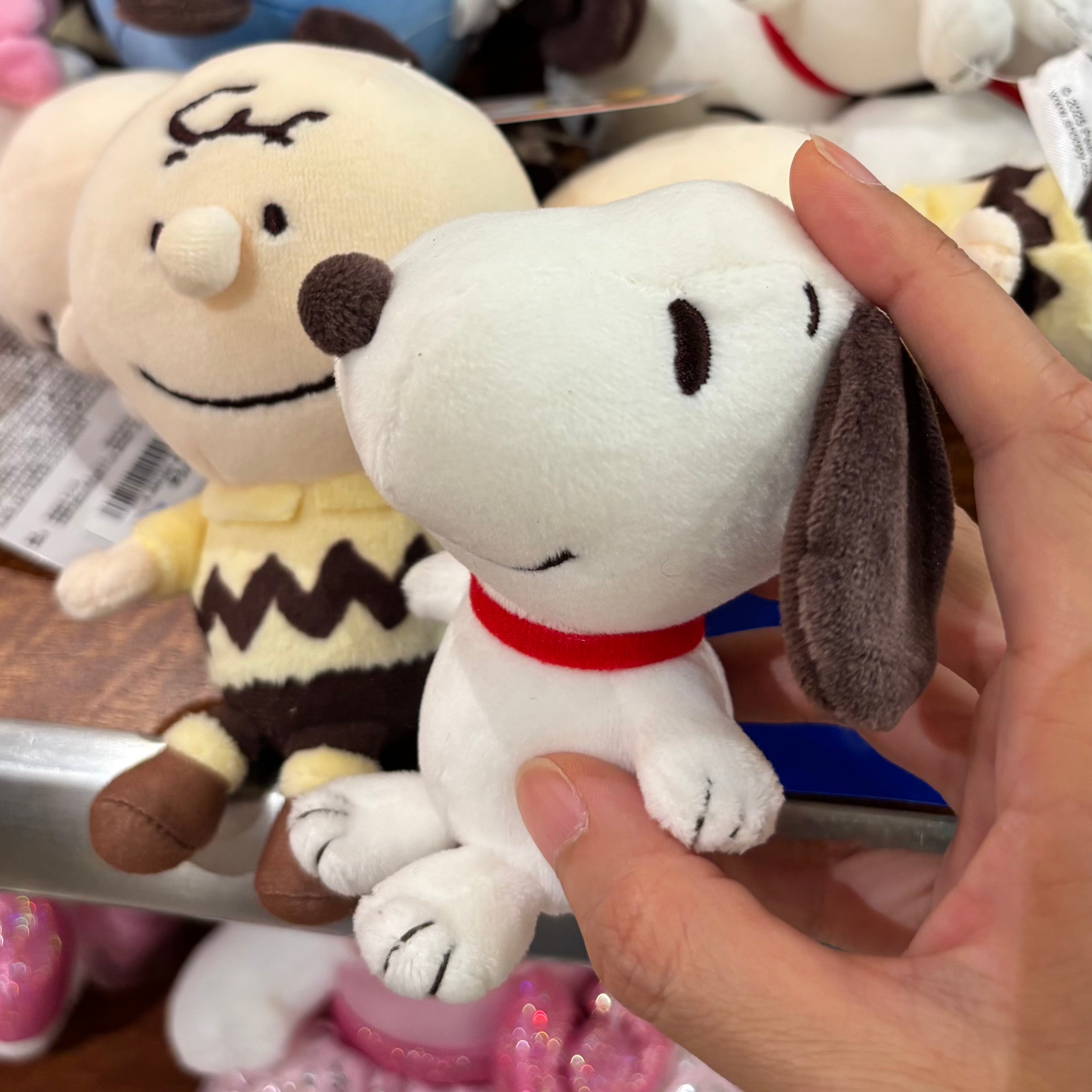 USJ Snoopy & Charlie Brown 迷你孖裝公仔
