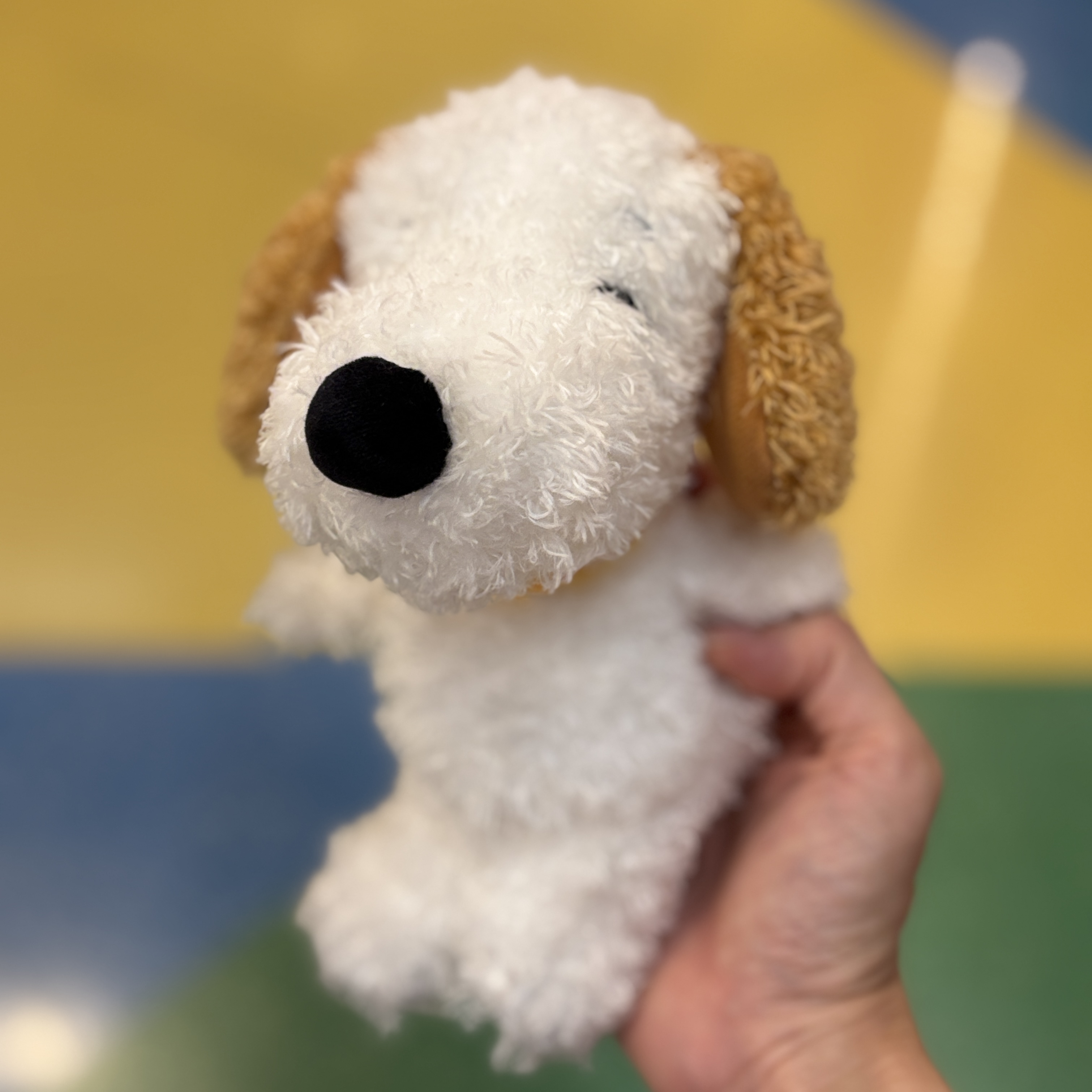 【訂貨】USJ Peanuts Friends Beanies 軟綿綿娃娃 慵懶豆豆公仔 Snoopy / Olaf / Andy