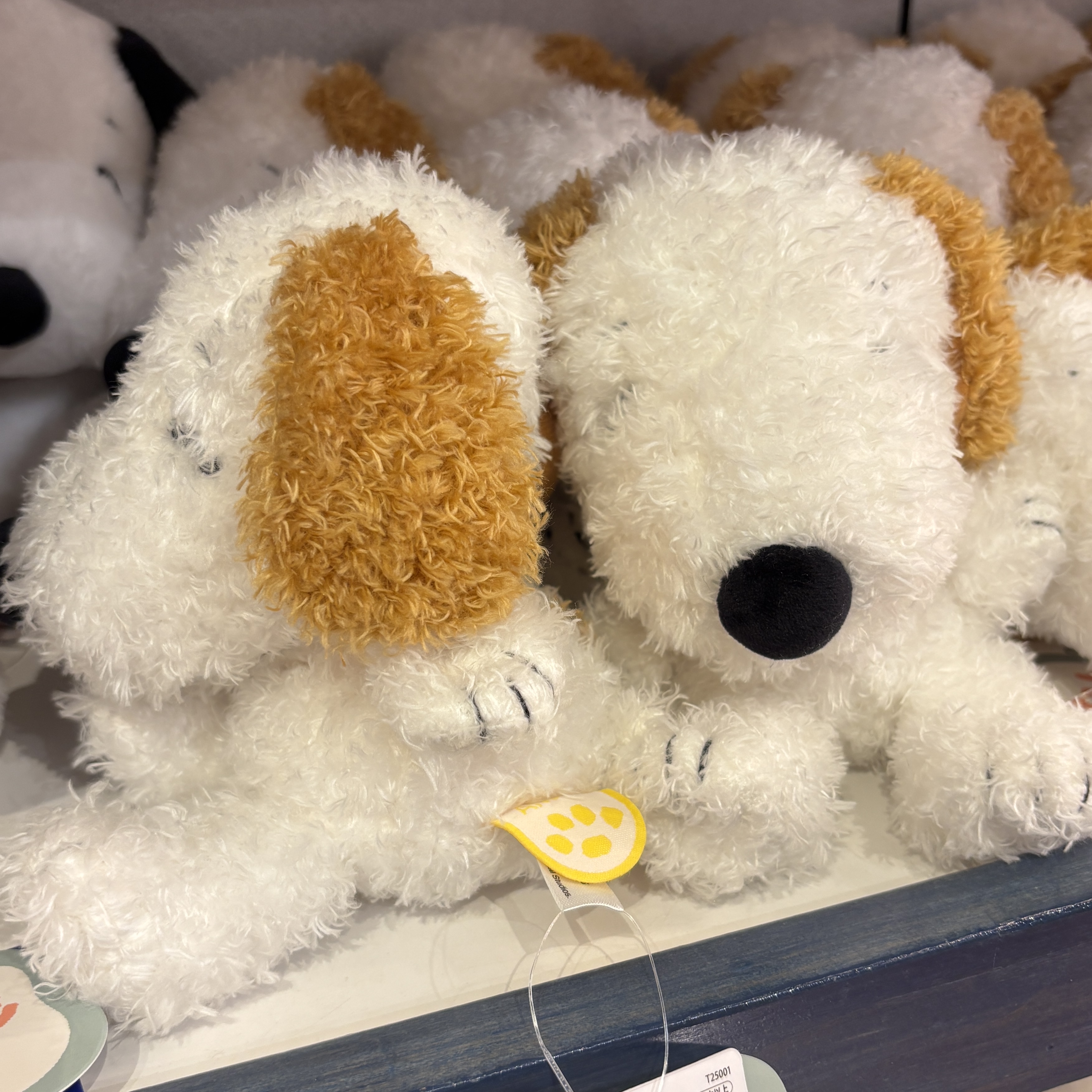 【訂貨】USJ Peanuts Friends Beanies 軟綿綿娃娃 慵懶豆豆公仔 Snoopy / Olaf / Andy