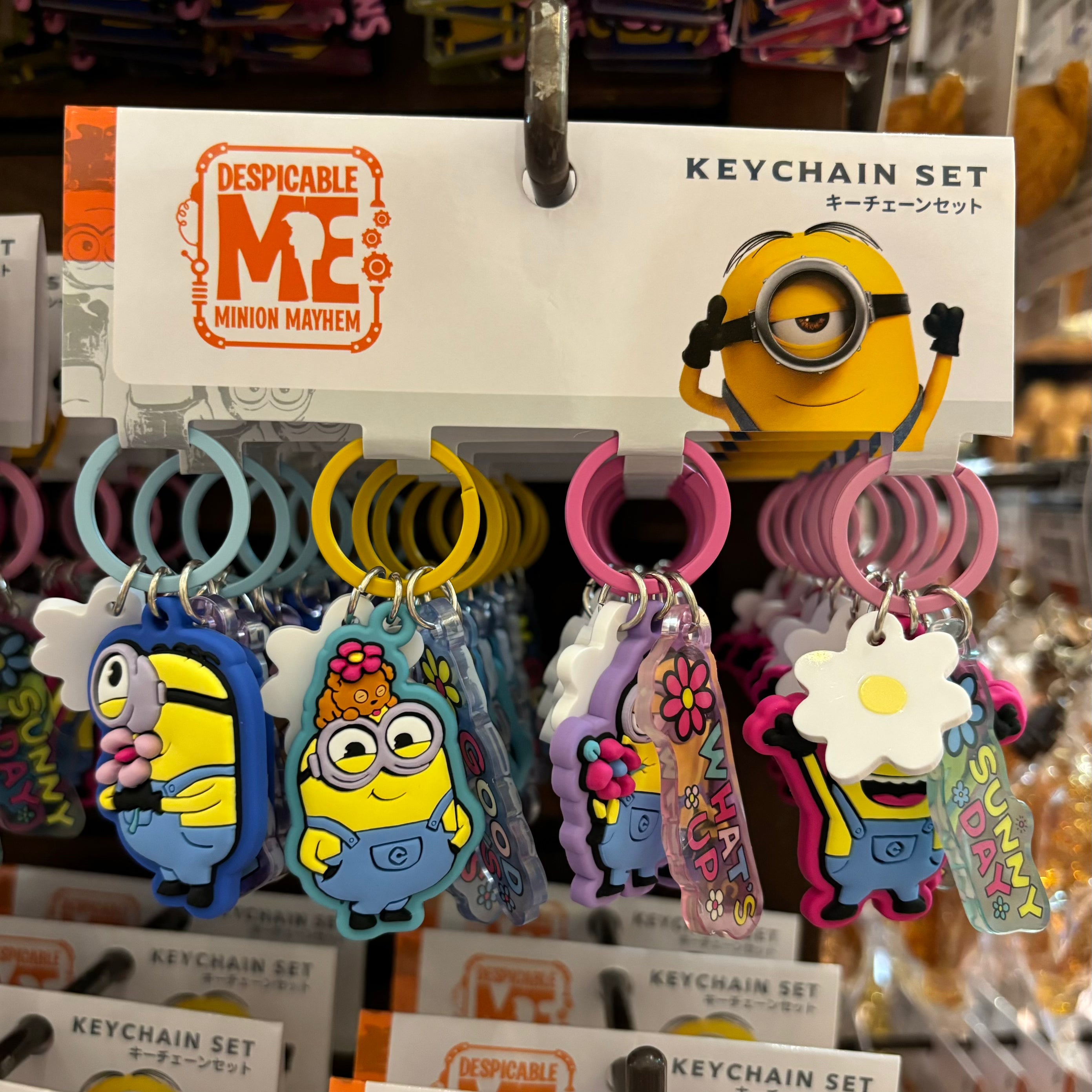 USJ Minions 花花立體牌 Keychain Set