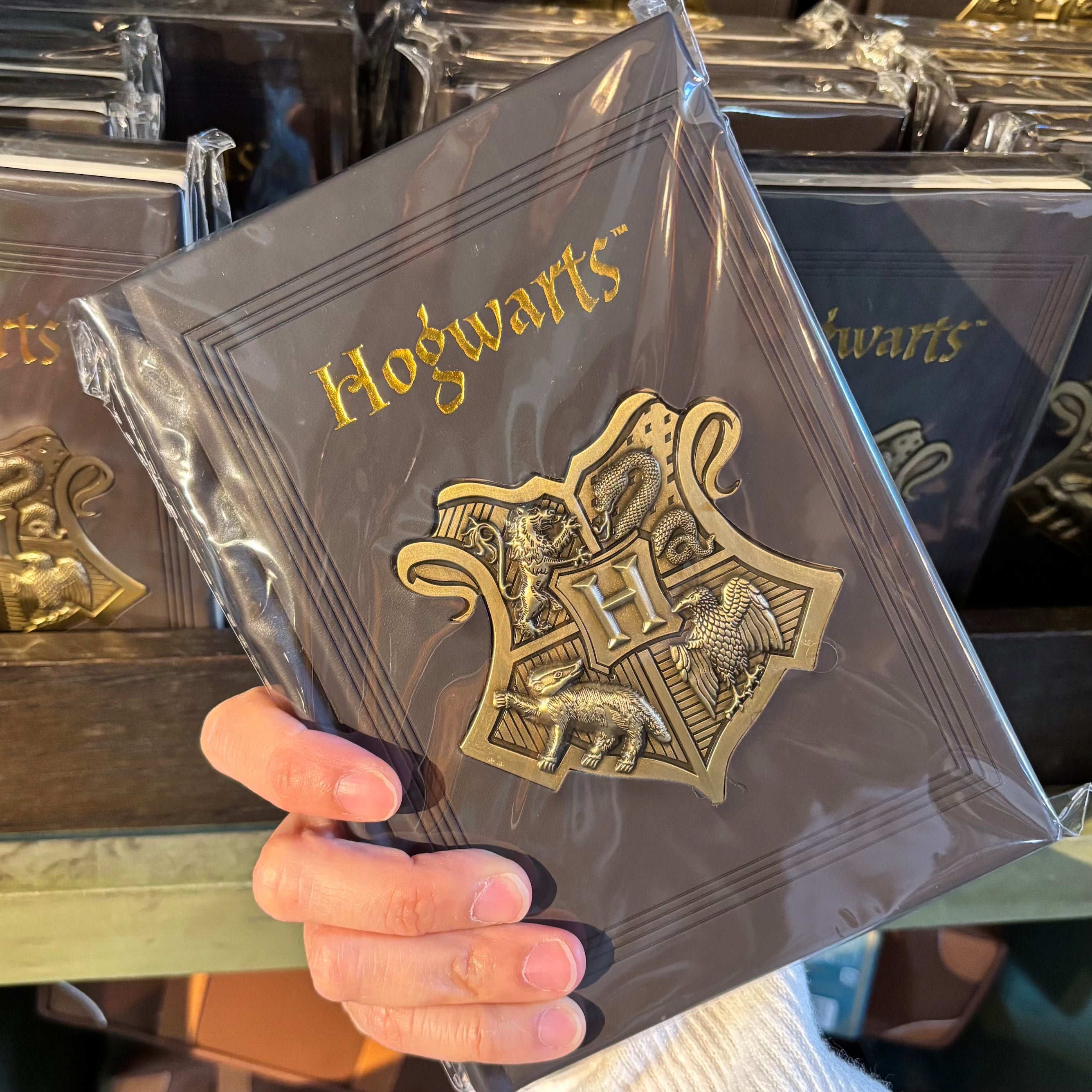 USJ 哈利波特 霍格華茲 硬皮筆記本