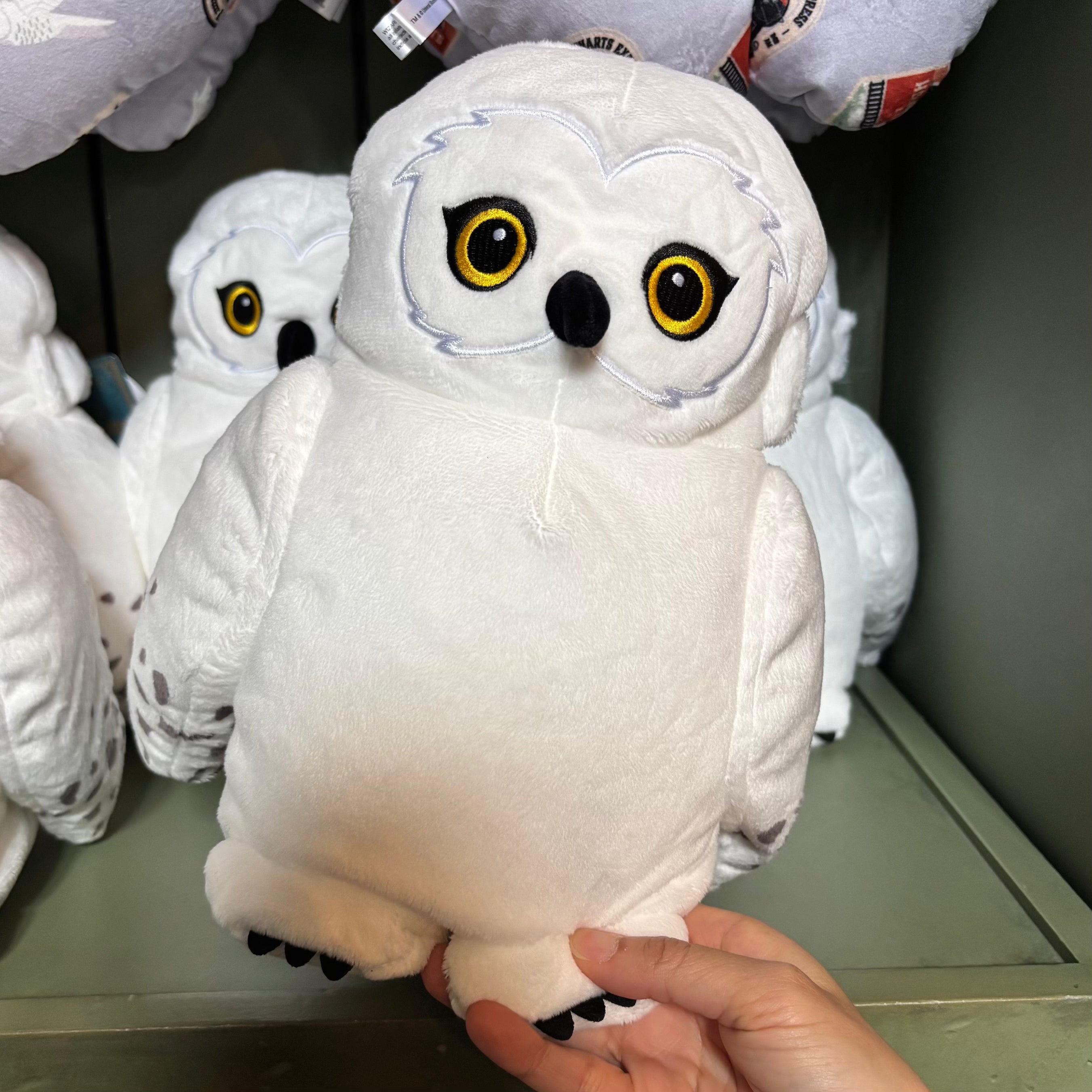 USJ 哈利波特 貓頭鷹 公仔旅行頸枕 Travel Pillow