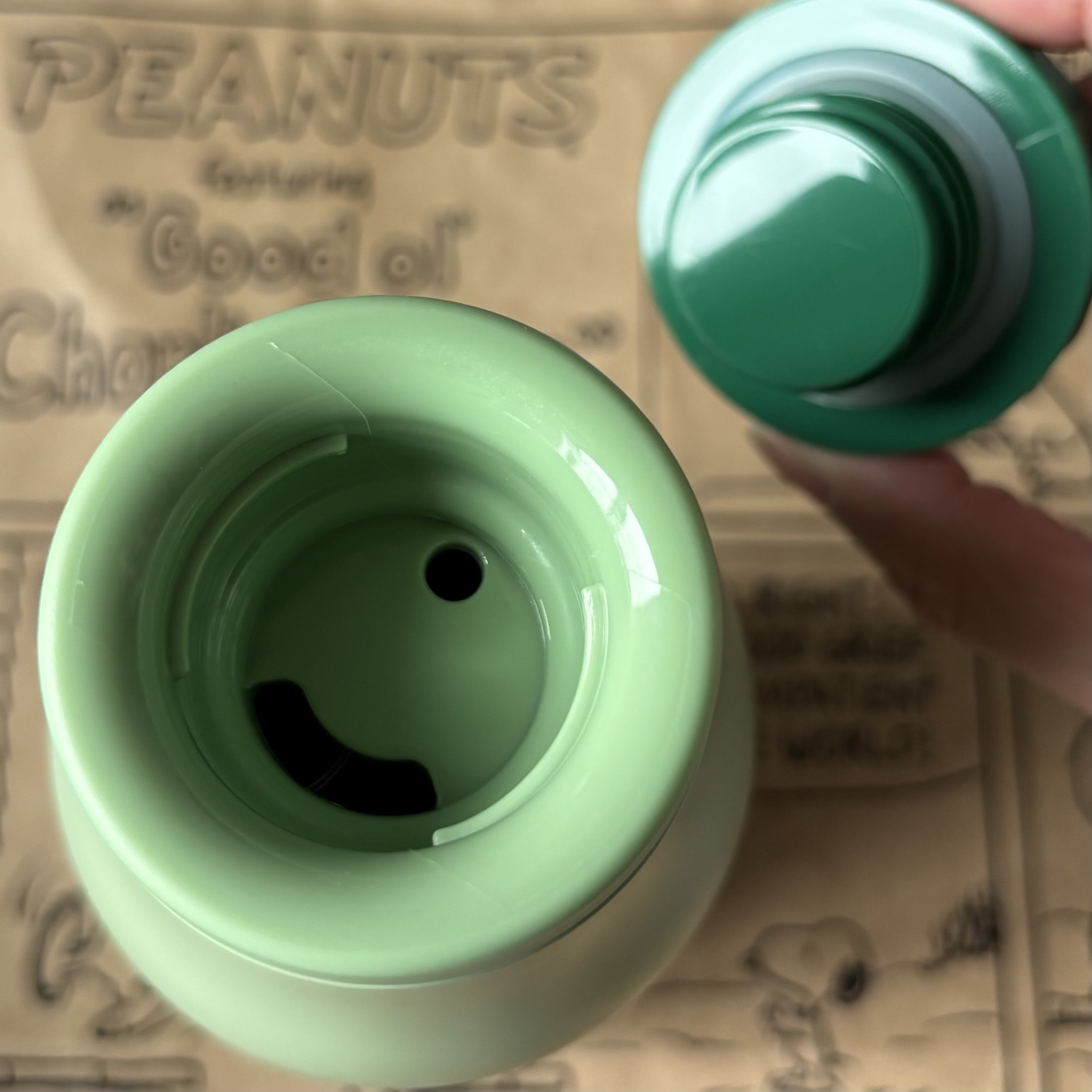 【訂貨】Starbucks x Peanuts Snoopy HAPPINESS IS BEING A PARTNER - 不鏽鋼保溫瓶（綠）