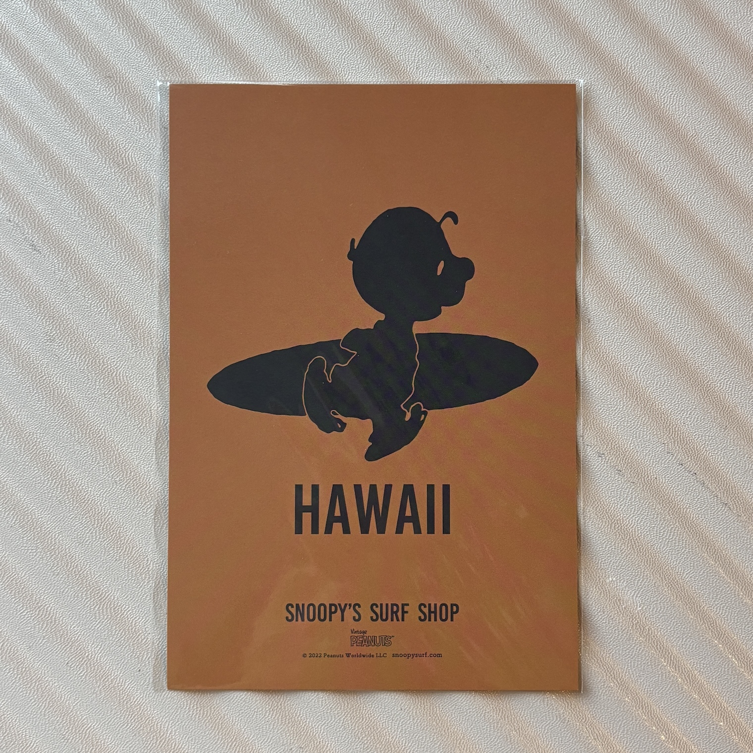 【訂貨】Snoopy‘s Surf Shop 明信片 - 影子 Charlie Brown 