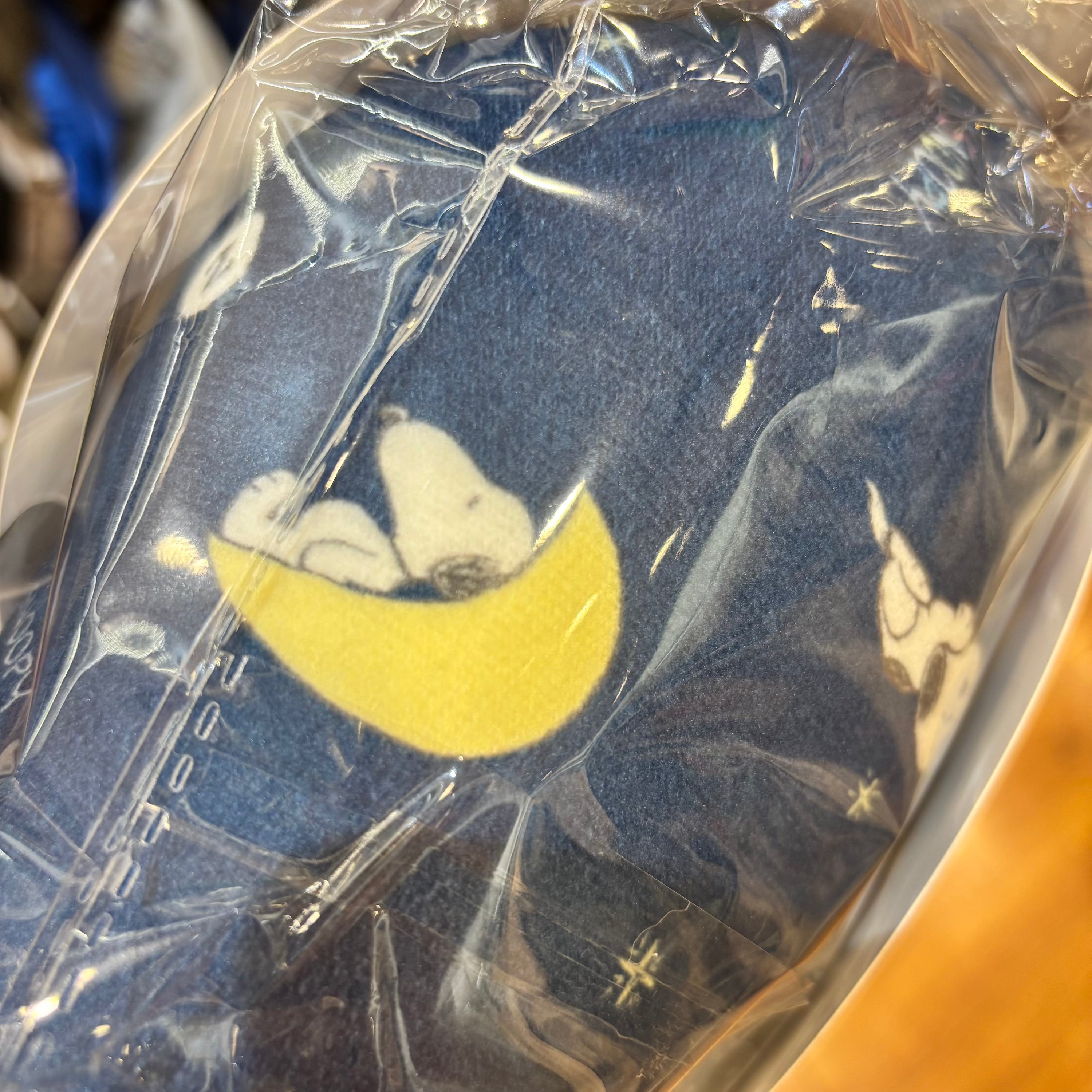 Snoopy 兩用頸枕 Travel Pillow (星空)