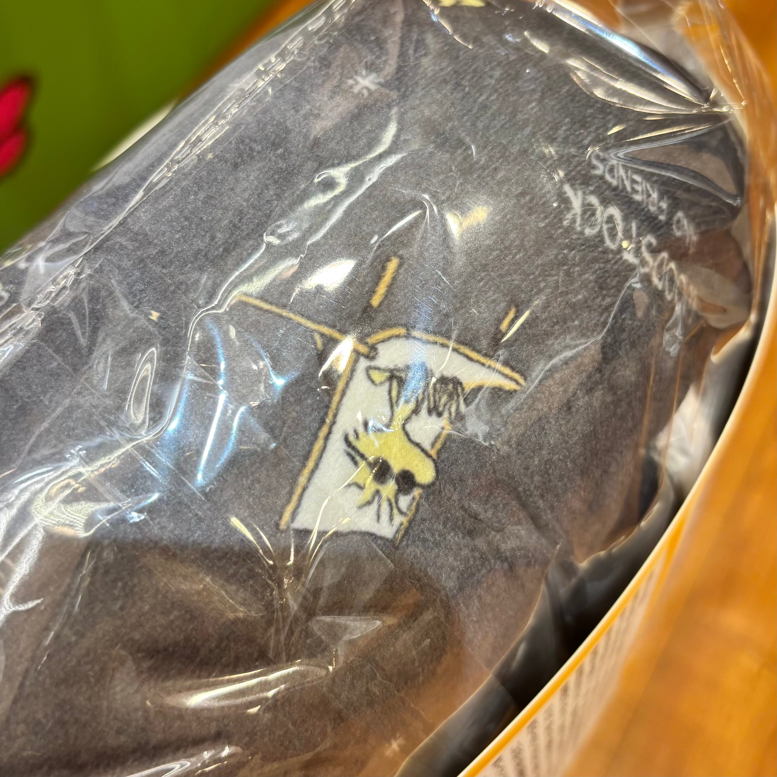 【訂貨】Woodstock 兩用旅行頸枕 Travel Pillow (星空)