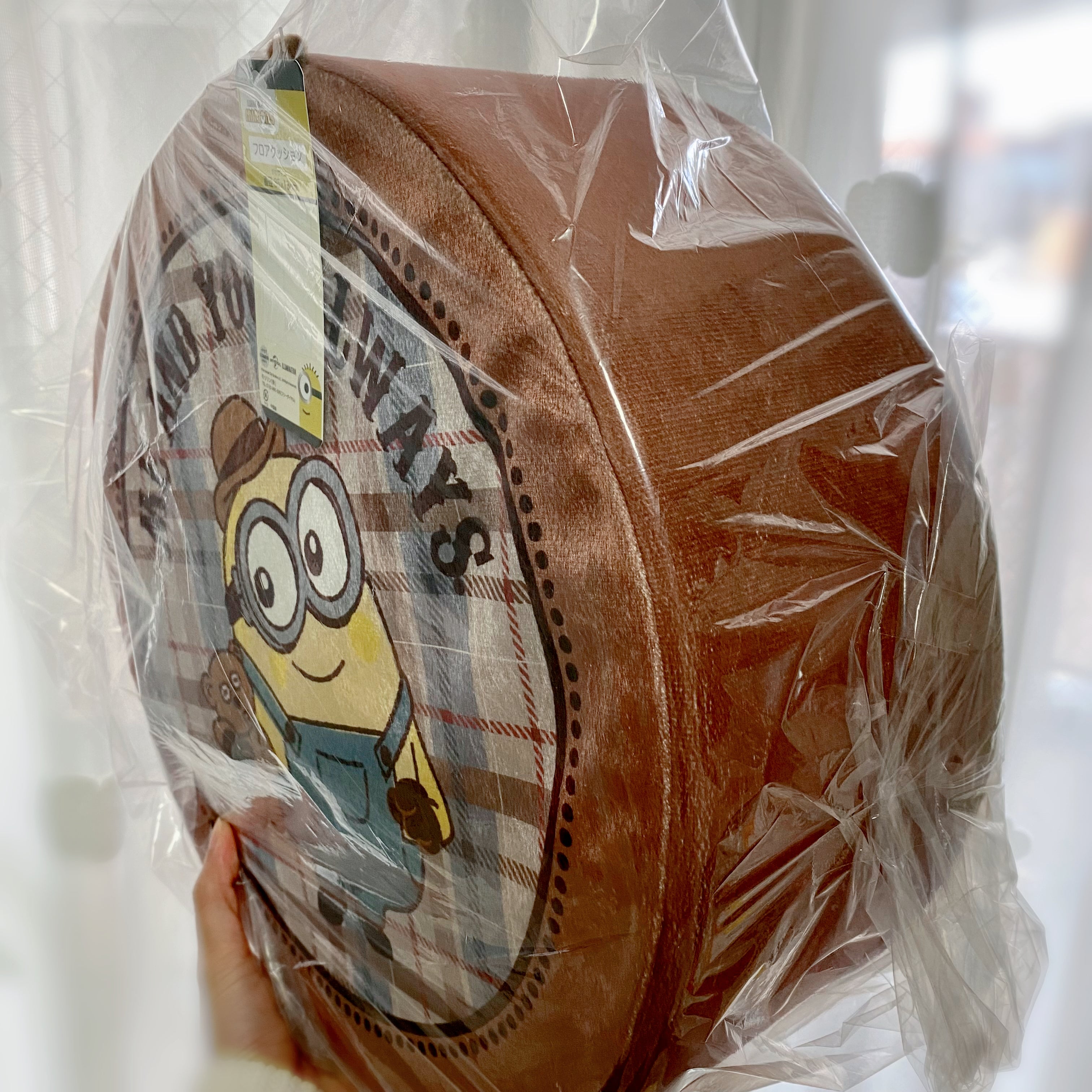 Bob & Tim 座墊 Floor Cushion