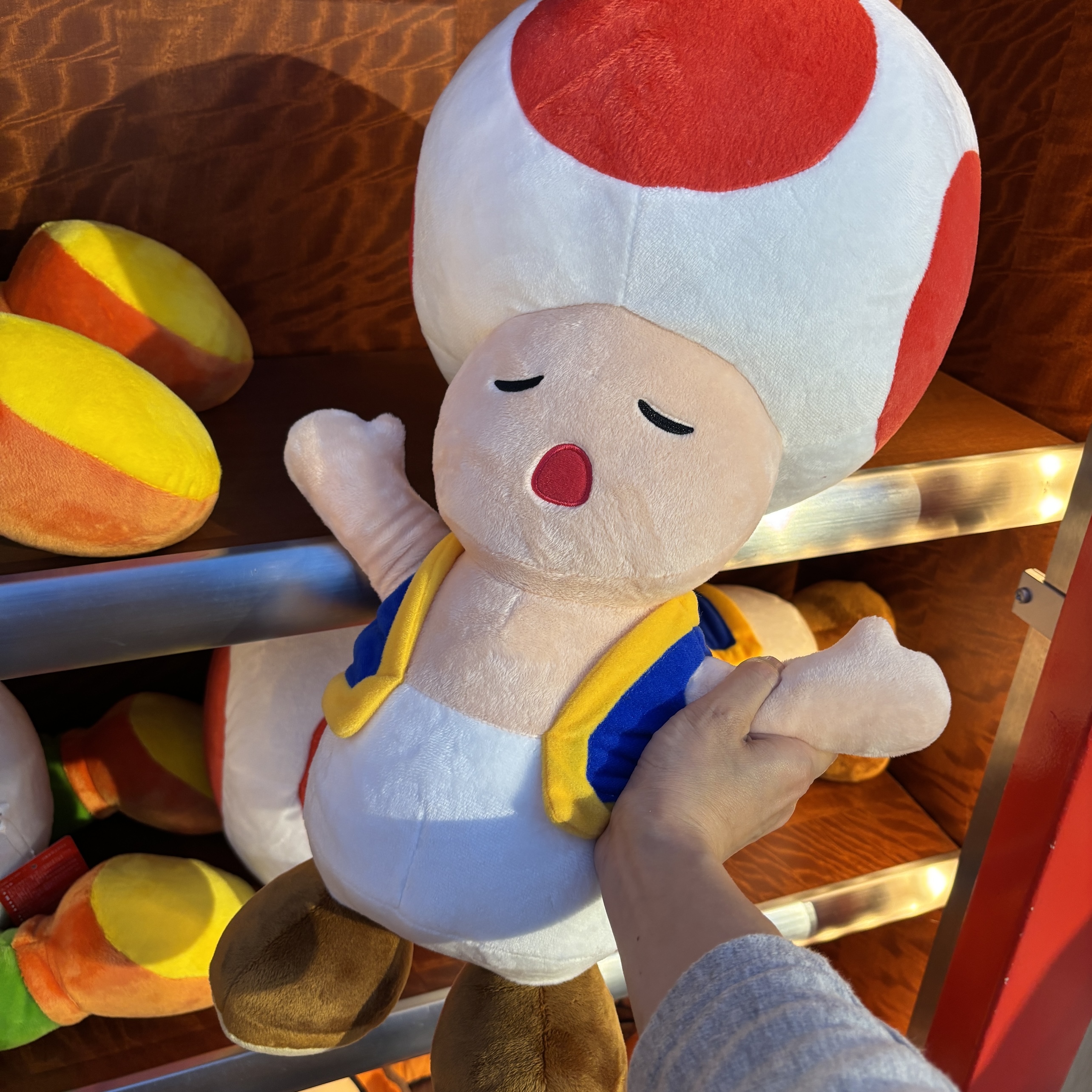 【訂貨】USJ 任天堂世界 Sleeping Toad 奇諾比奧 大公仔 抱枕 Cushion