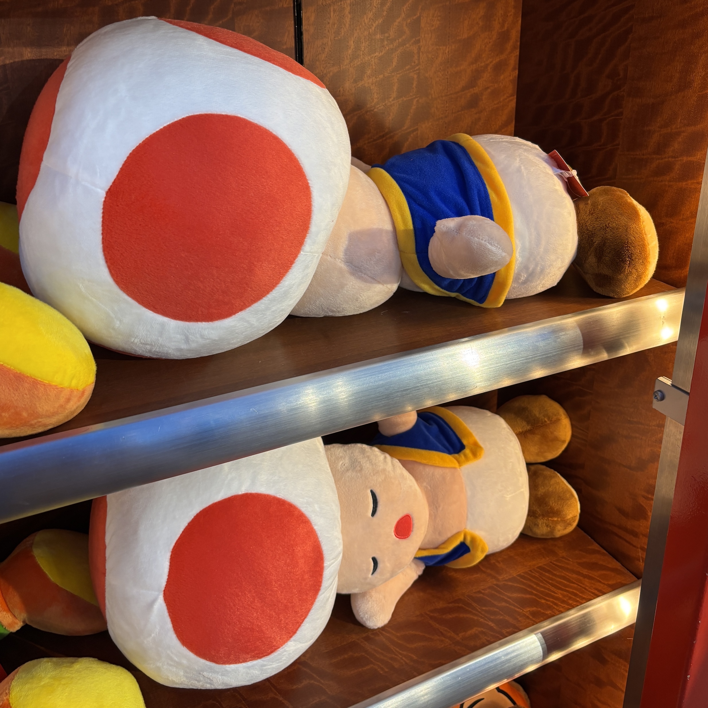 【訂貨】USJ 任天堂世界 Sleeping Toad 奇諾比奧 大公仔 抱枕 Cushion