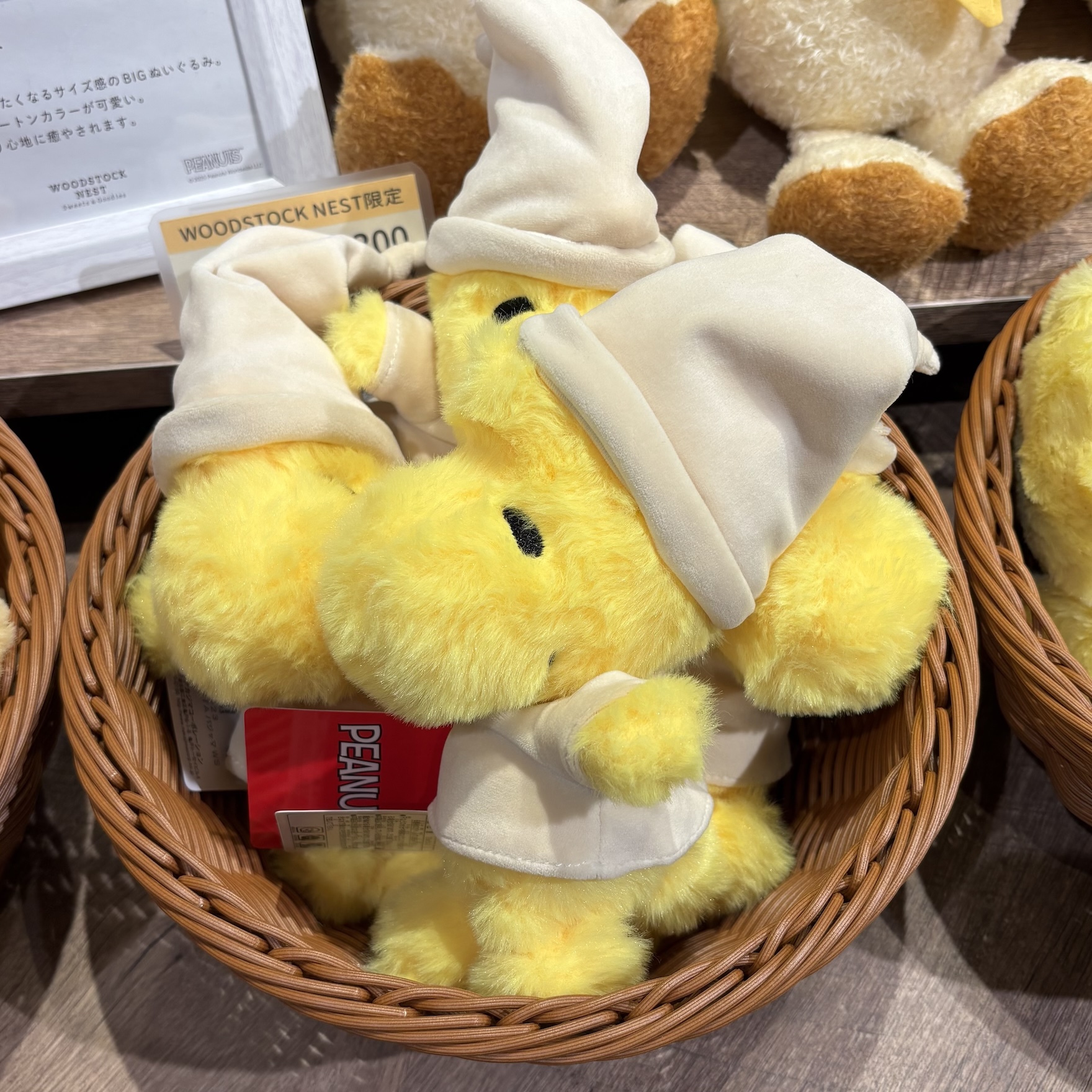 【訂貨】Woodstock FUWAKUTA Pajama 睡衣公仔