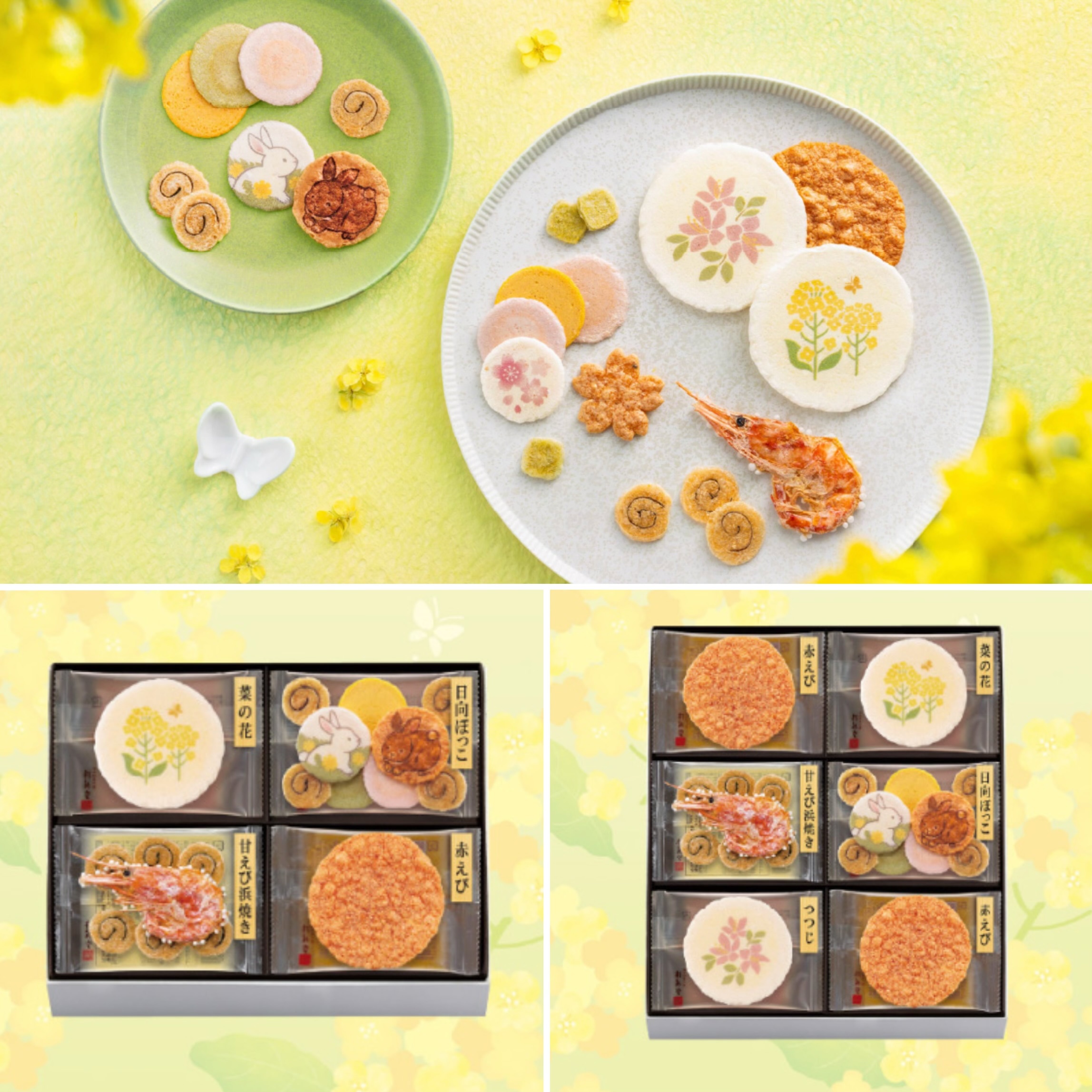 【訂貨】日本桂新堂 仙貝 蝦餅禮盒（春季）