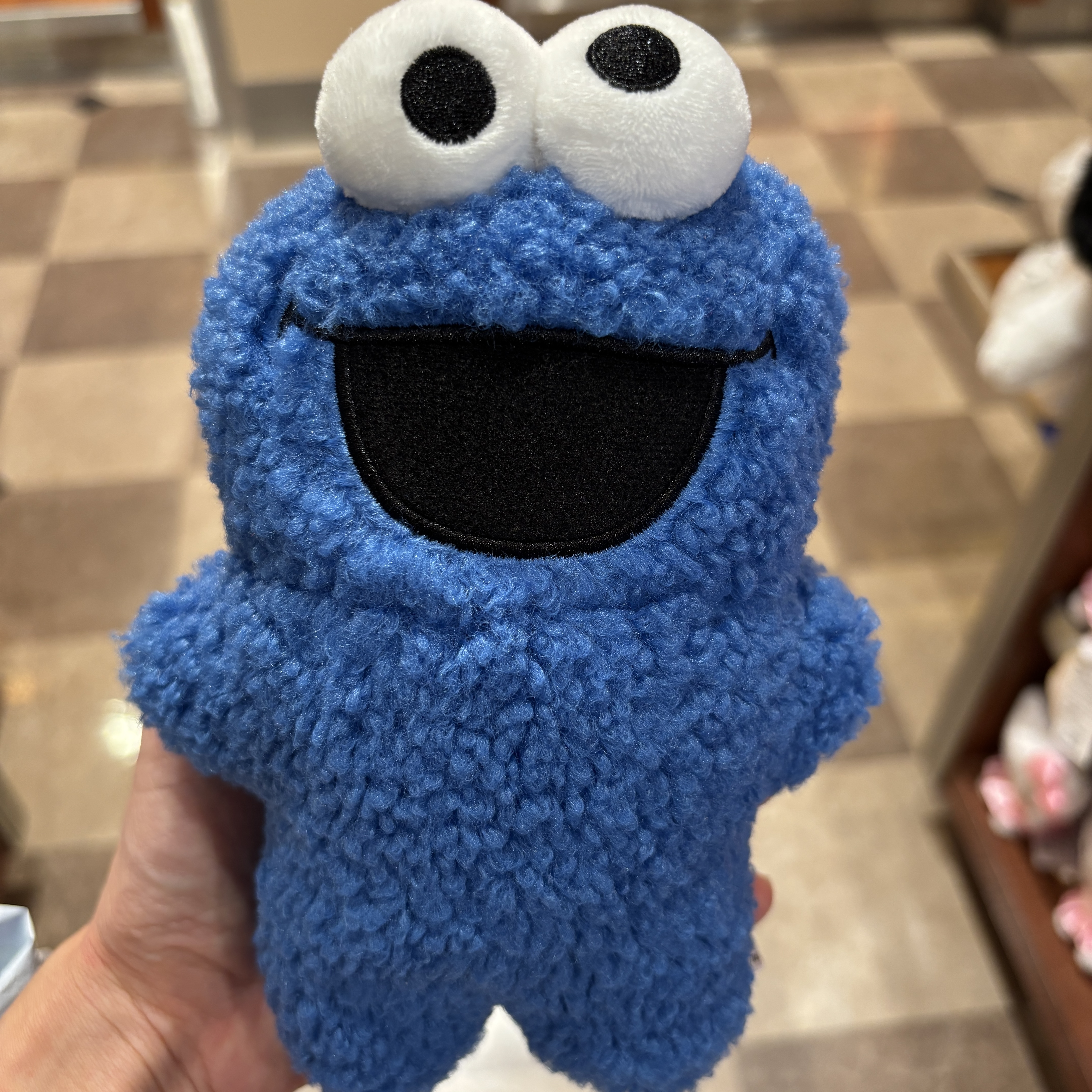 【訂貨】USJ Sesame Street 芝麻街 扁胖小可愛公仔 玩偶 - Cookie Monster