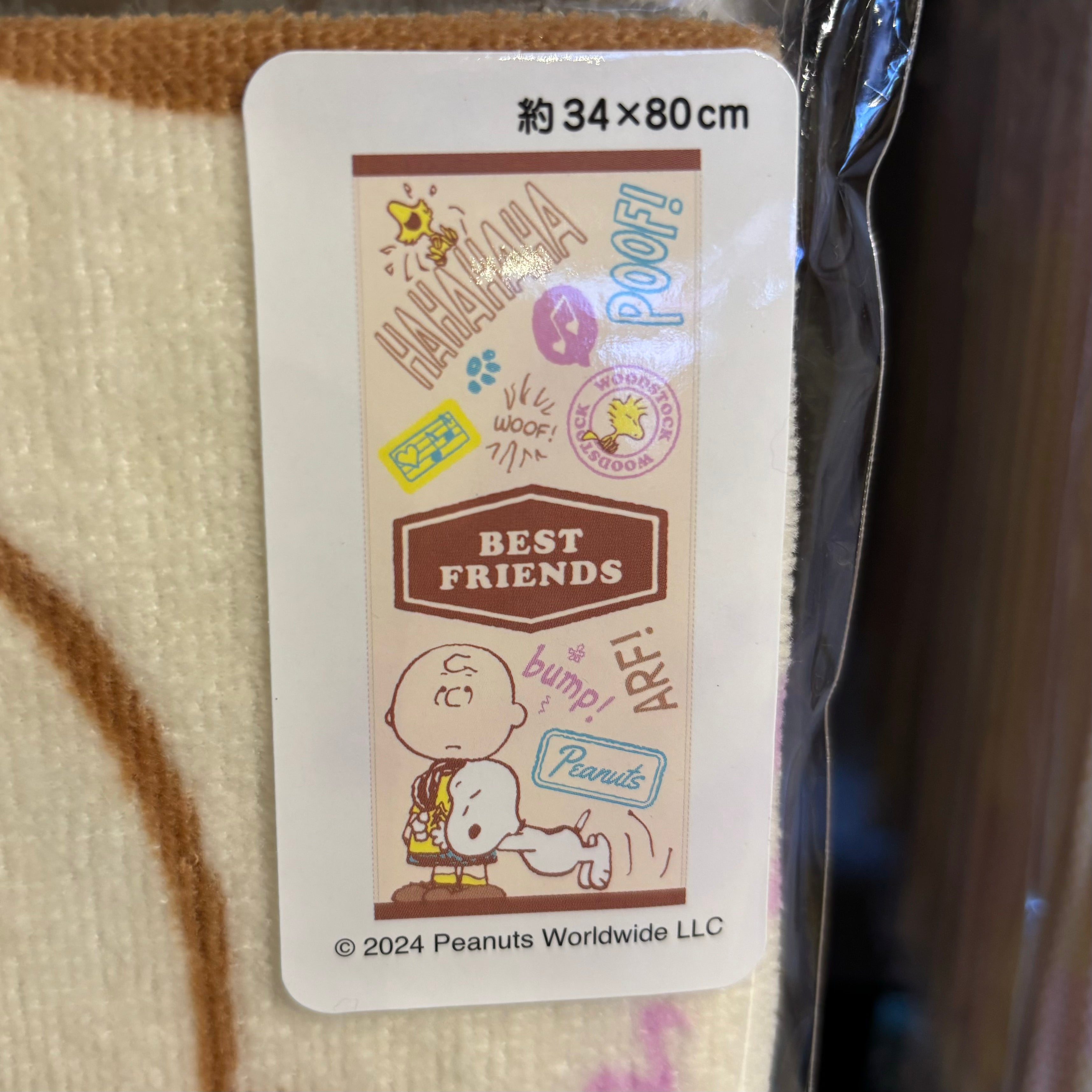 USJ Snoopy & Charlie Brown 長毛巾（Best Friends）