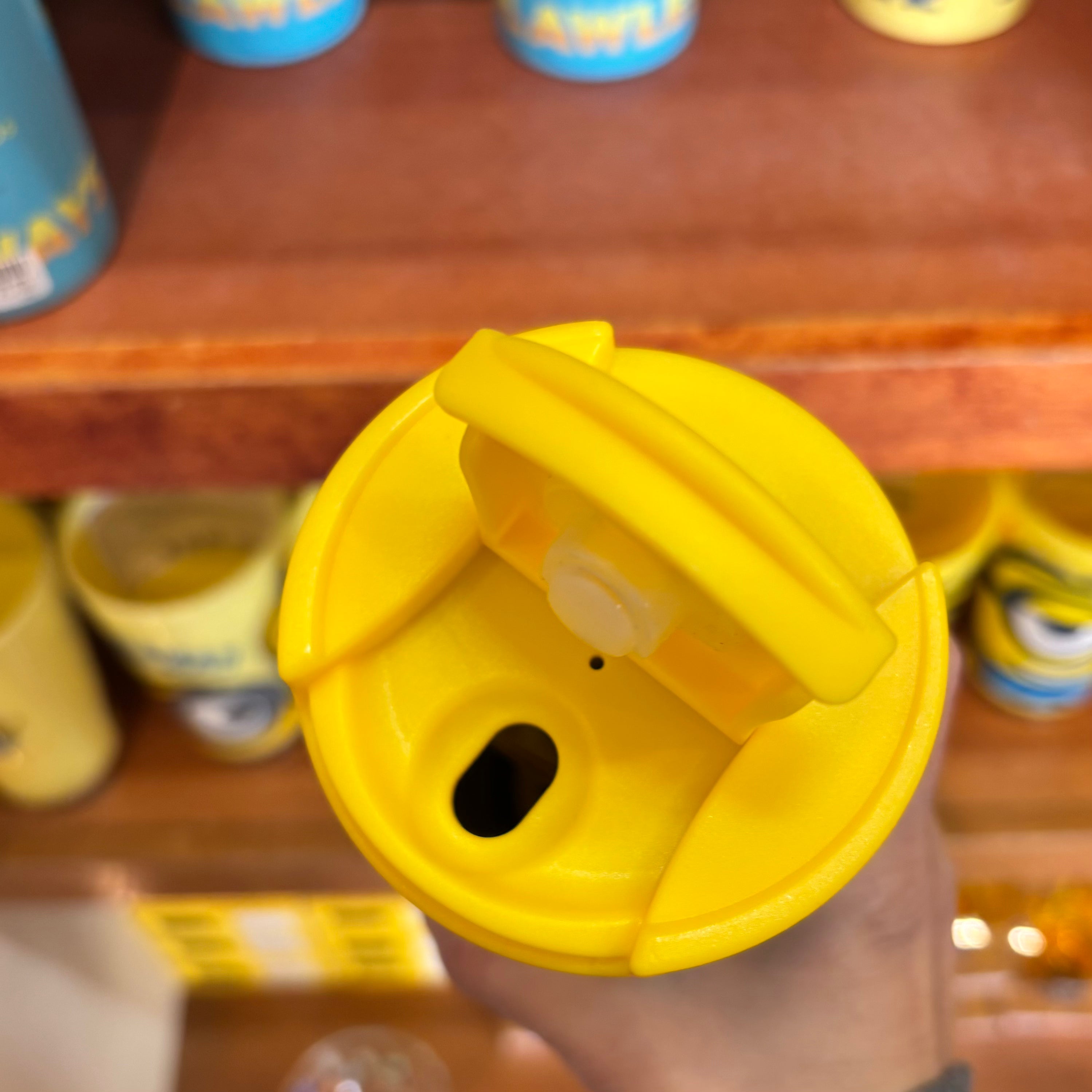 USJ Minions 保溫瓶 480ml