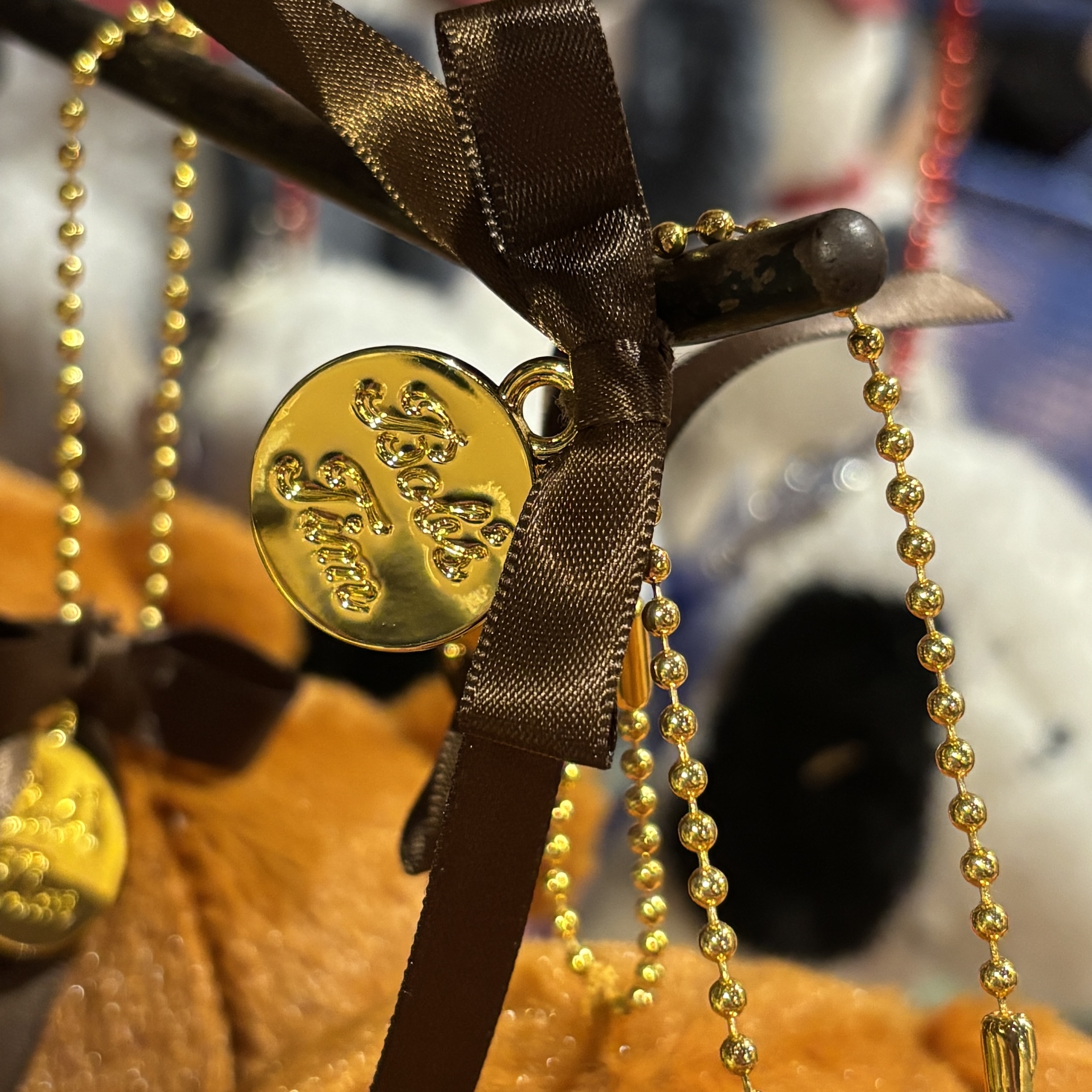【訂貨】USJ Tim Bear 公仔掛飾 M Size - 直毛款