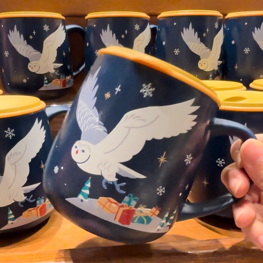 【訂貨】USJ 哈利波特 WINTER AT HOGWARTS -不鏽鋼保溫杯 隨行杯 馬克杯