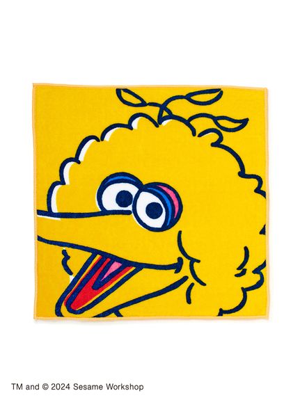 【訂貨】芝麻街 Sesame小毛巾｜2月10日截單