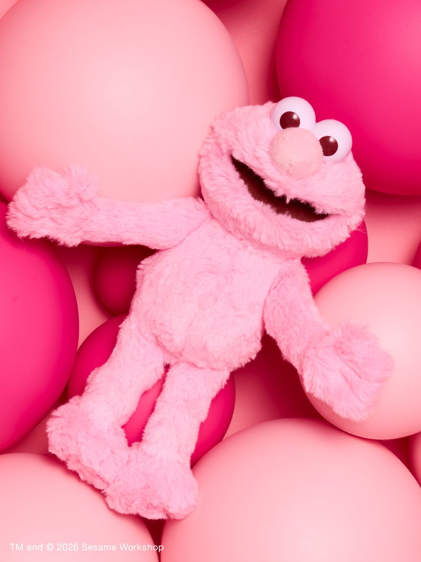 【預訂】Sesame Street Market PINK FRIENDS 櫻花粉公仔 掛飾