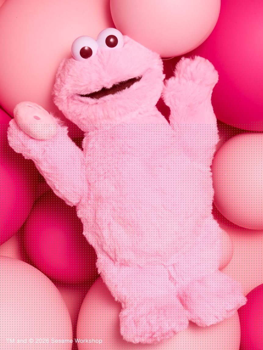 【預訂】Sesame Street Market PINK FRIENDS 櫻花粉公仔 掛飾