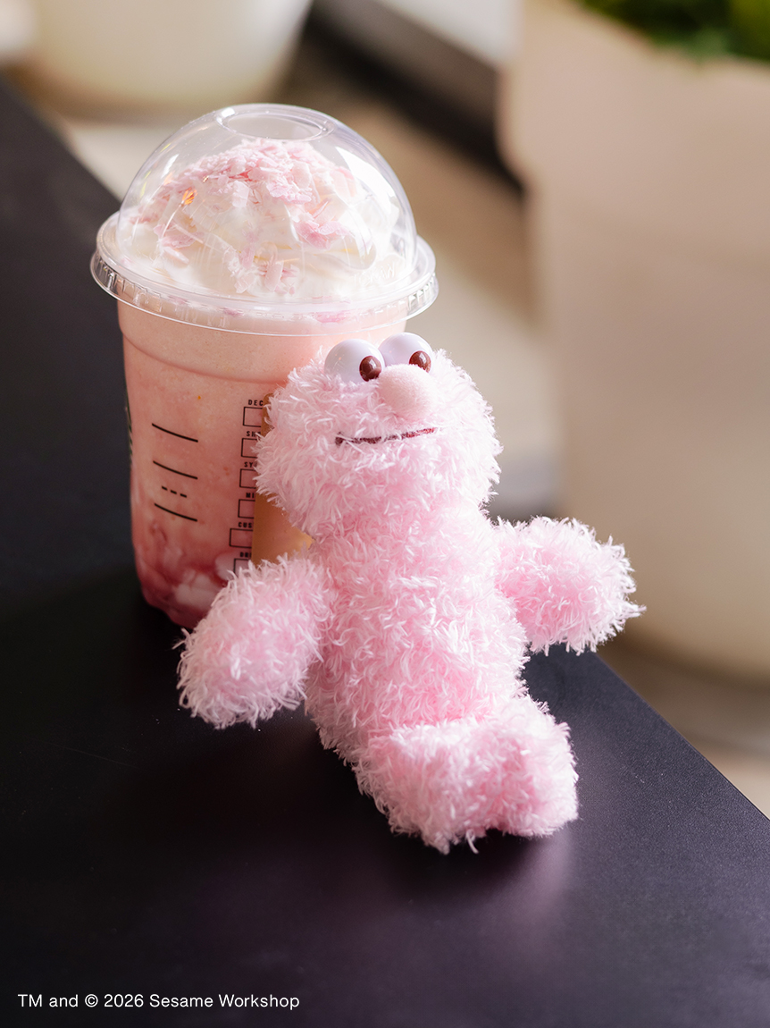 【預訂】Sesame Street Market PINK FRIENDS 櫻花粉公仔 掛飾