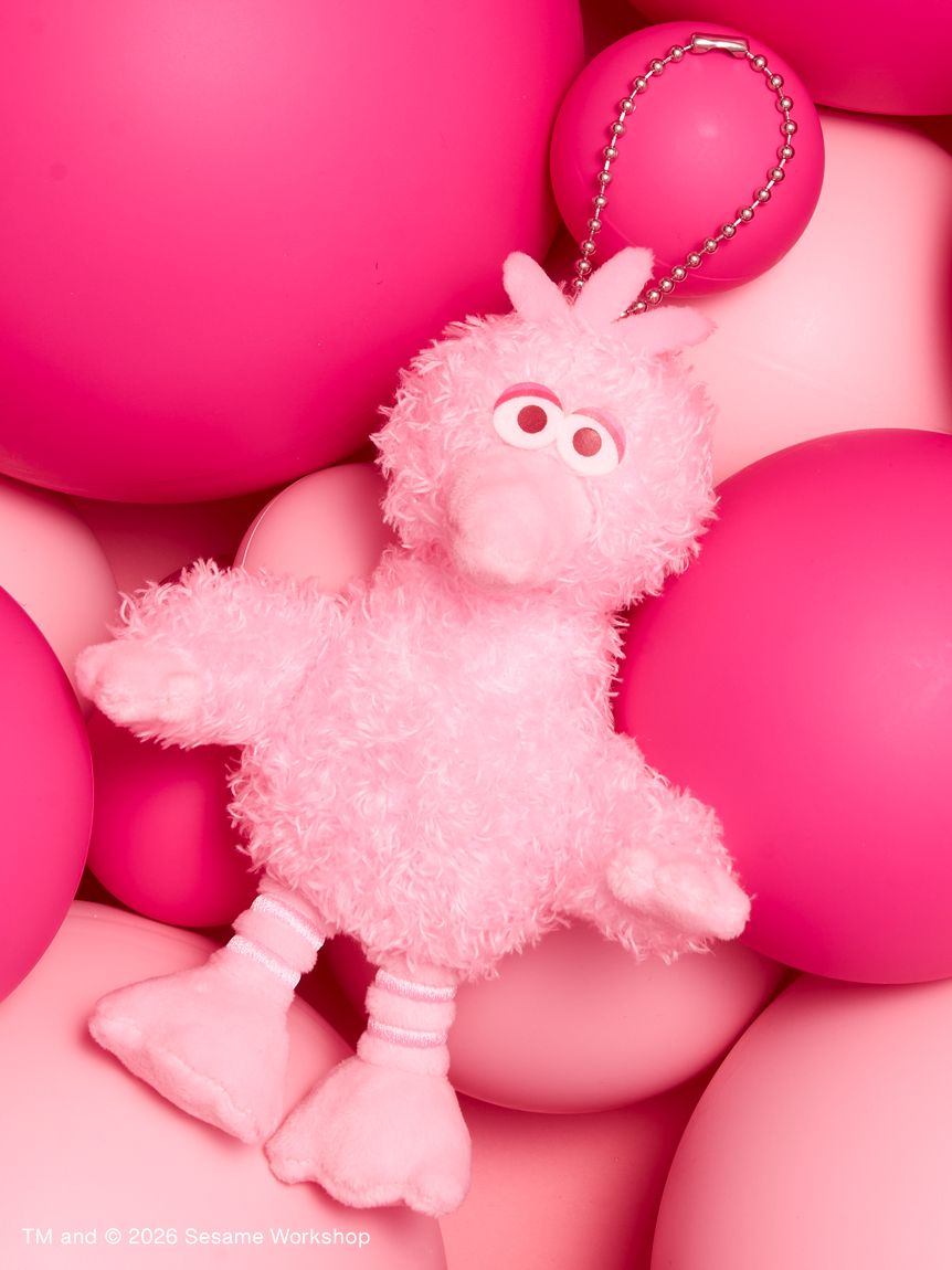 【預訂】Sesame Street Market PINK FRIENDS 櫻花粉公仔 掛飾