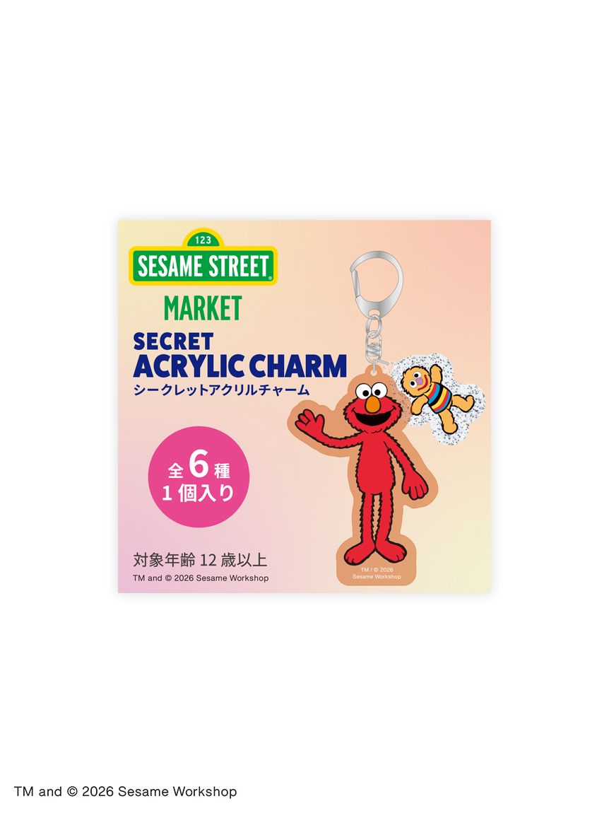 【預訂｜9月】Sesame Street Market ENJOY SUMMER - 鑰匙扣（隨機抽）