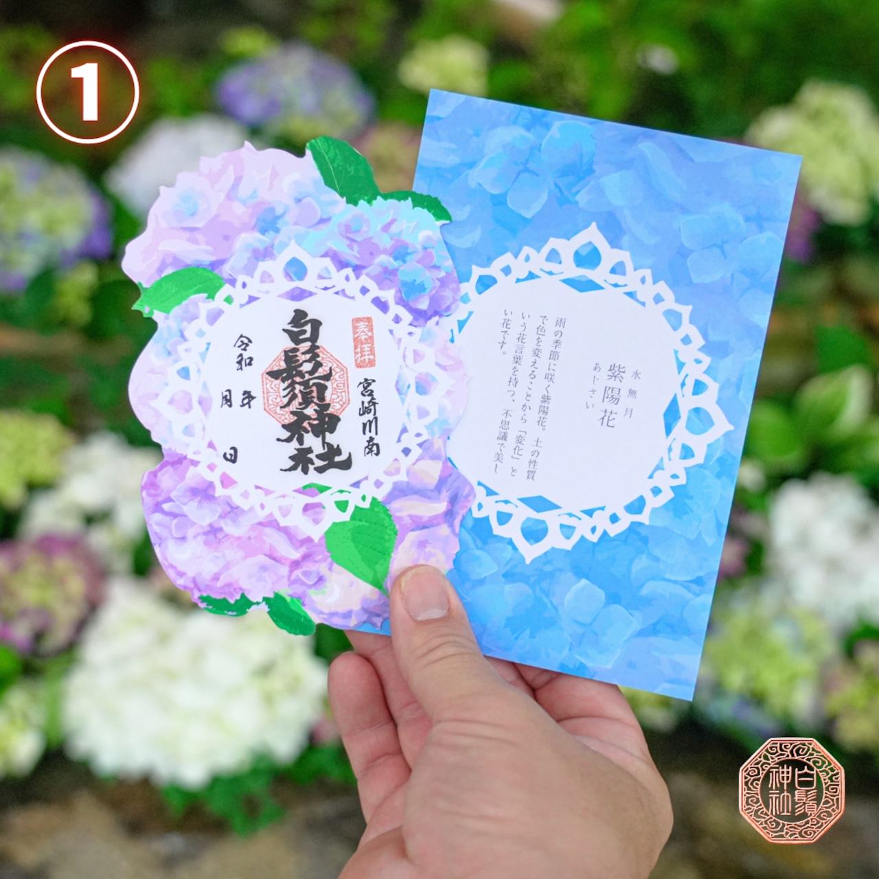 【訂貨｜7月】白鬚神社御朱印 - 紫陽花｜6月13日截數