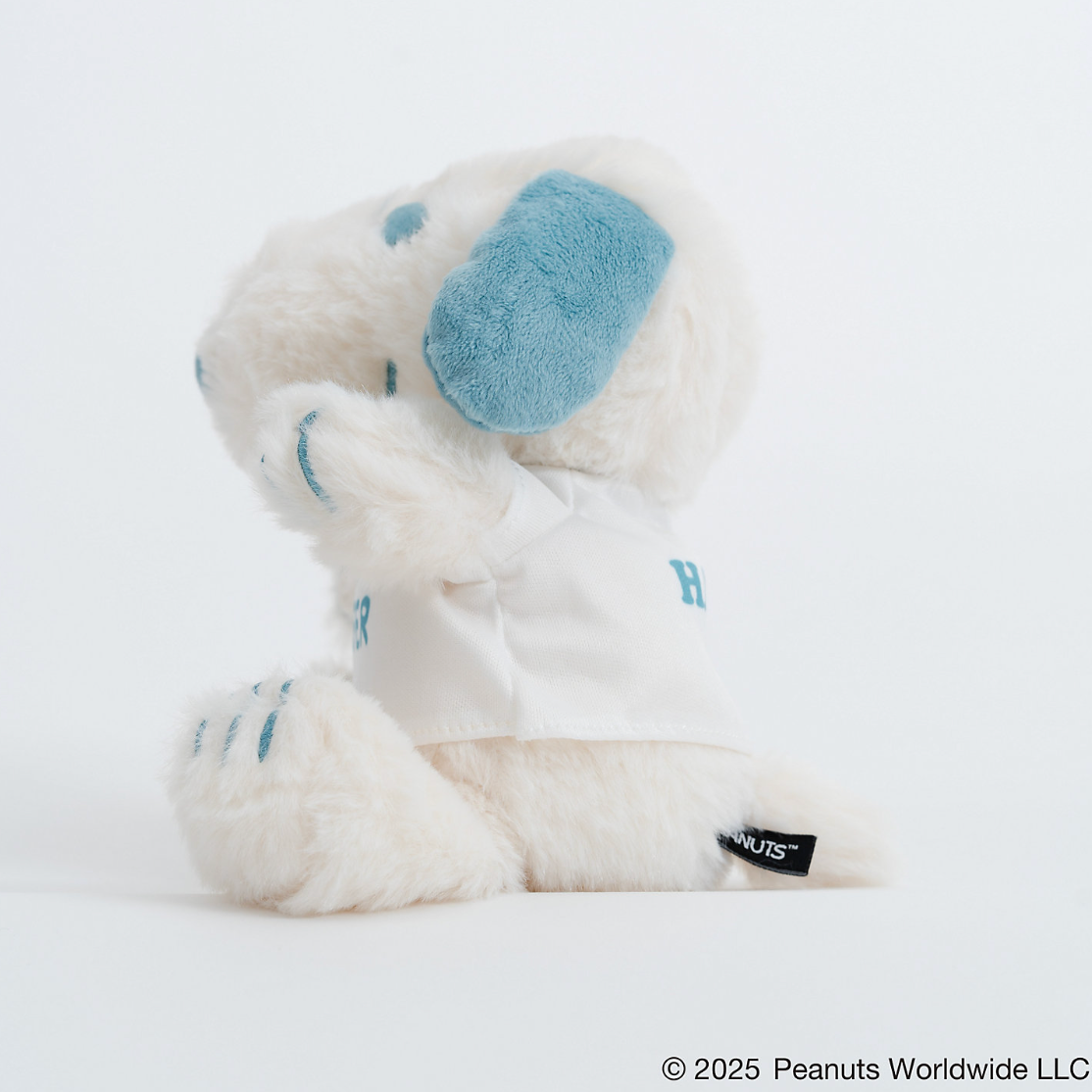 SNOOPY’S SURF SHOP Joe Surfer 公仔