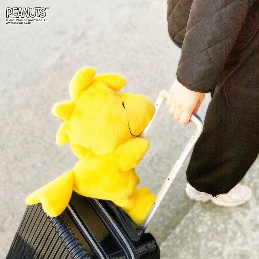 Woodstock 兩用旅行頸枕 Travel Pillow (星空)