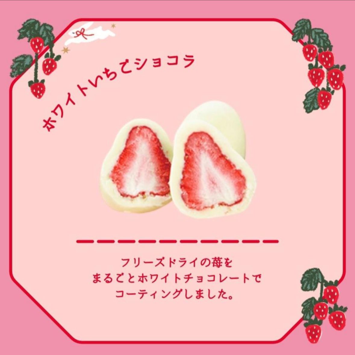 【預訂｜2月】日本 Ichigo no hi 草莓之日系列 - 草莓魔法罐