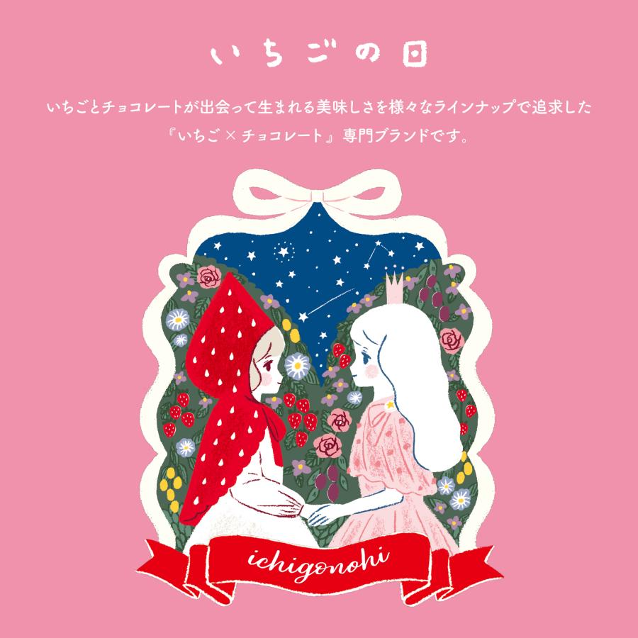 【預訂｜2月】情人節限定 いちごの日 草莓之日系列 - 星之許願