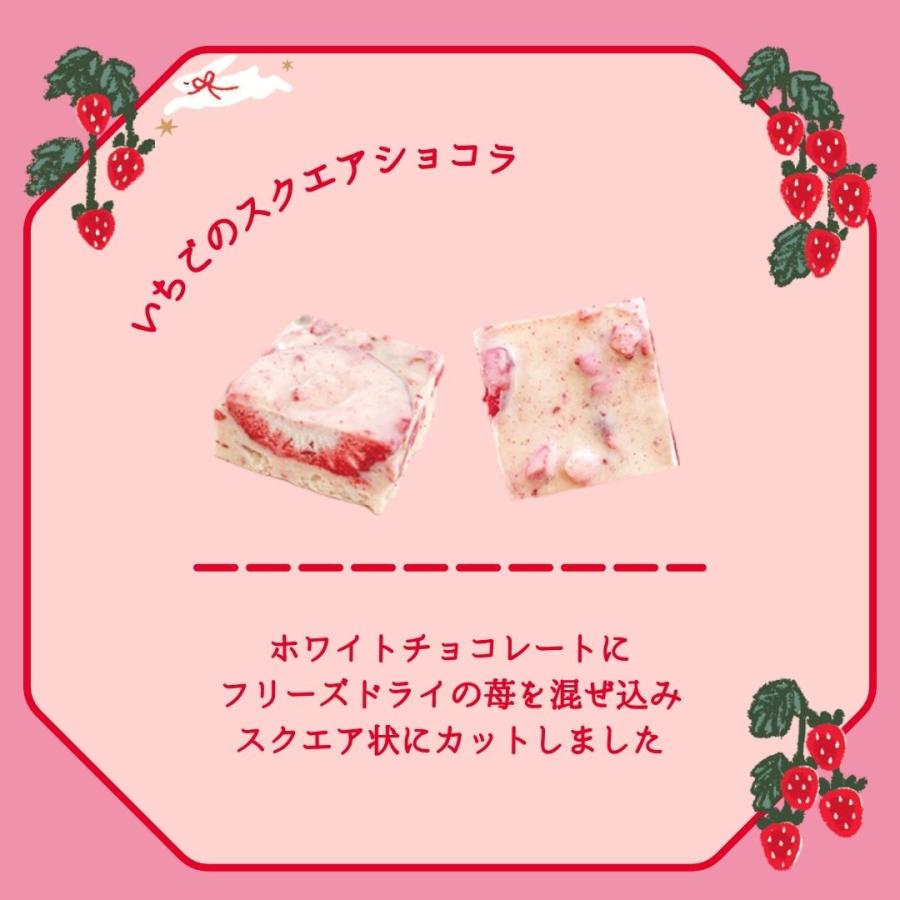 【預訂｜2月】日本 Ichigo no hi 草莓之日系列 - 草莓之庭園朱古力