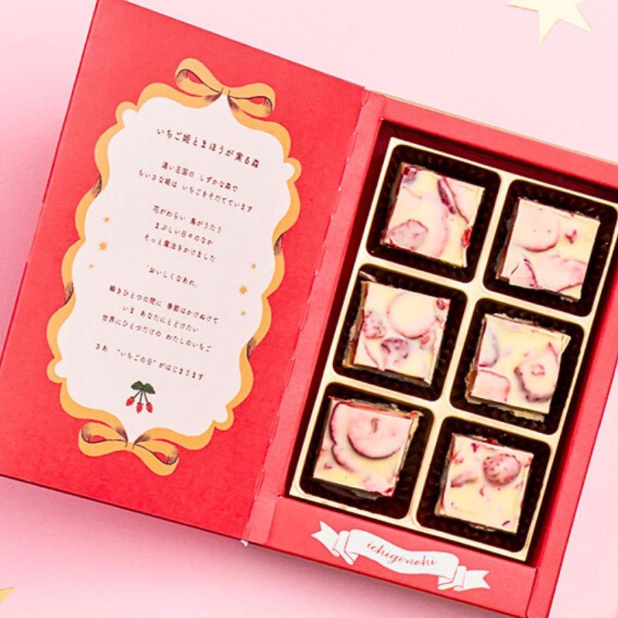 【預訂｜2月】日本 Ichigo no hi 草莓之日系列 - 草莓之庭園朱古力