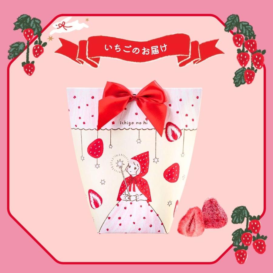 【預訂｜2月】日本 Ichigo no hi 草莓之日系列 - 原粒白朱古力草莓 5pcs