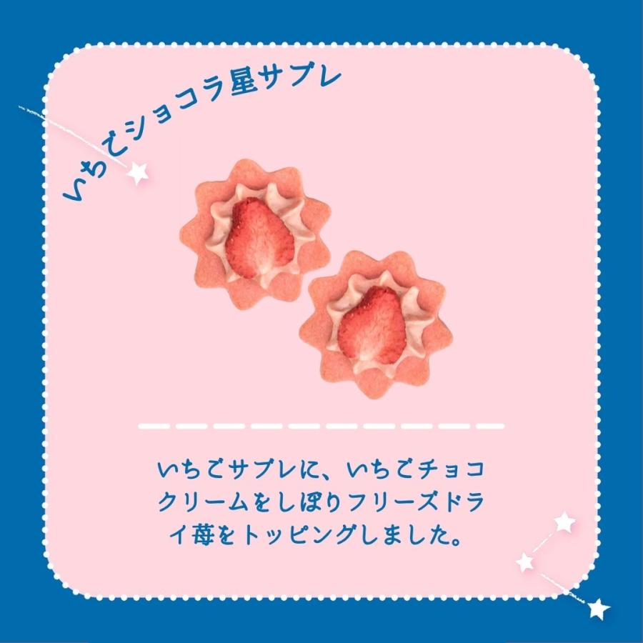 【預訂｜2月】情人節限定 いちごの日 草莓之日系列 - 星之許願