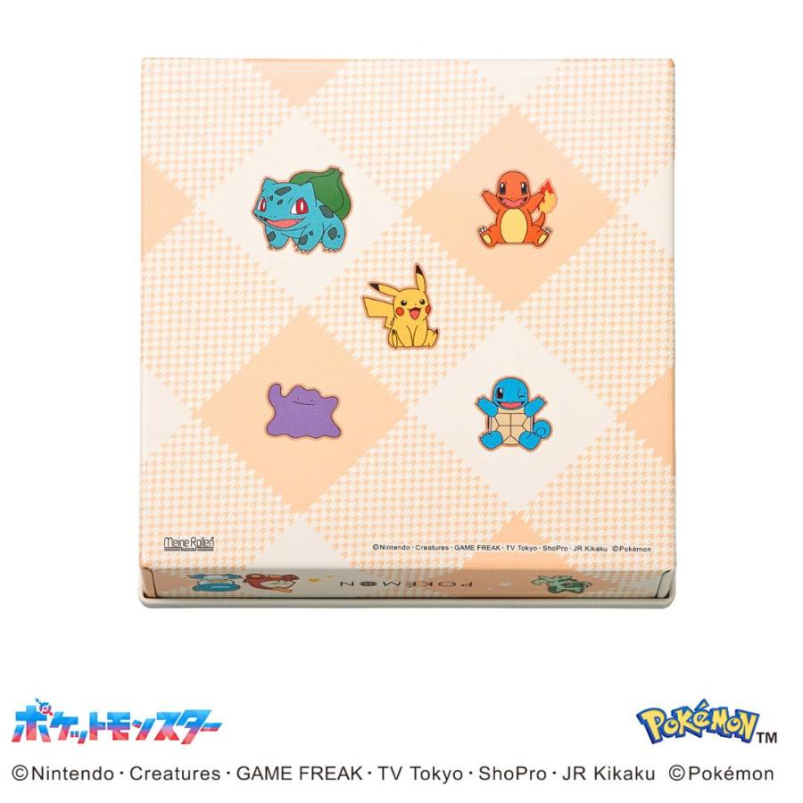 【預訂|2月】Pokemon 寶可夢 情人節朱古力(M 10pcs)