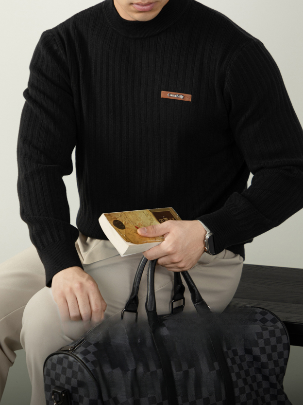 萊賽爾羊毛提花針織半高領軟暖質感豎紋肌理都市輕熟男裝秋冬款