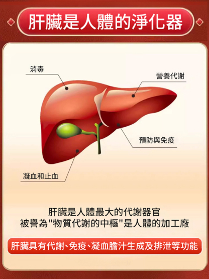 枸杞蒲公英決明子山楂葛根靈芝片