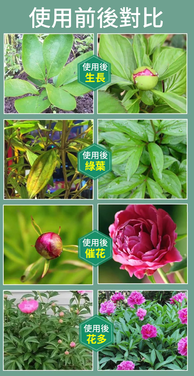 翻译件-JS-植物高效生长微生物复合肥-1167043-系统_07.jpg