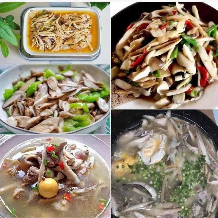 Authentic Termitomyces Mushroom Strain 🌱 Includes cultivation instructions, even beginners can easily cultivate them