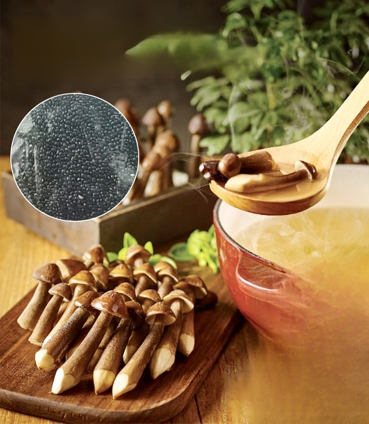 Authentic Termitomyces Mushroom Strain 🌱 Includes cultivation instructions, even beginners can easily cultivate them