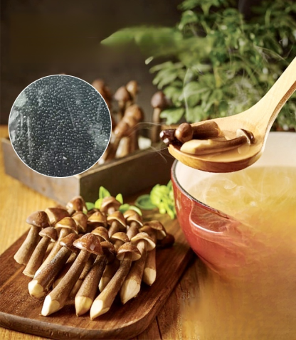 Authentic Termitomyces Mushroom Strain 🌱 Includes cultivation instructions, even beginners can easily cultivate them