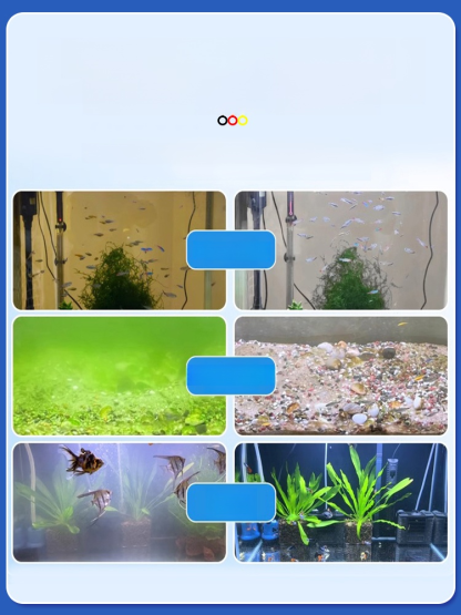 [One-Minute Water Purification] Powerful Aquarium Water Clarifying Tablets
