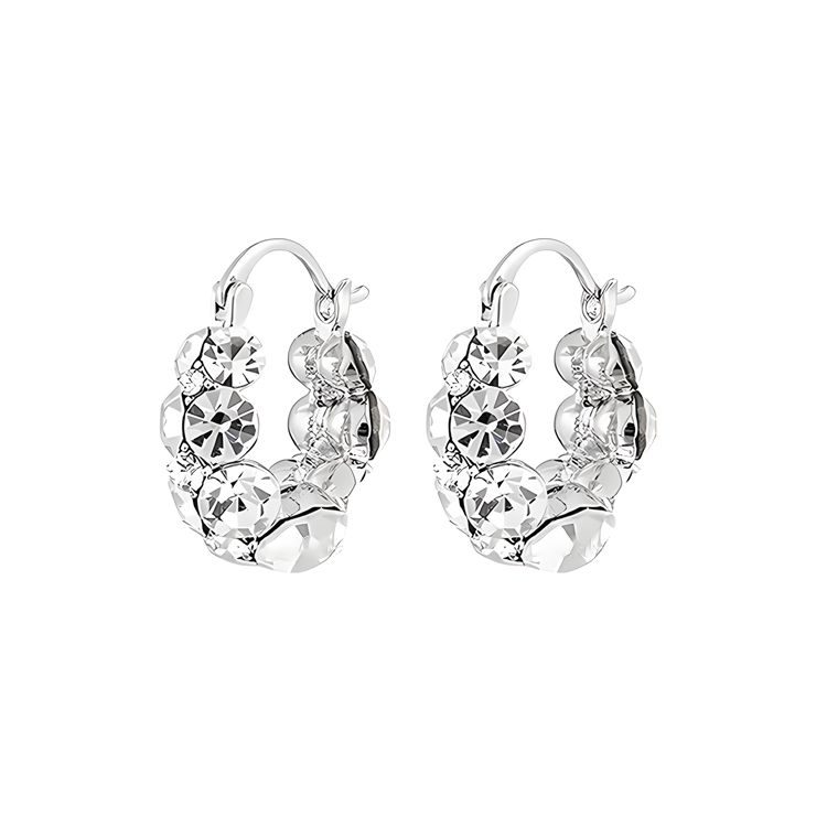 Exquisite Sparkling Full Rhinestone Earrings