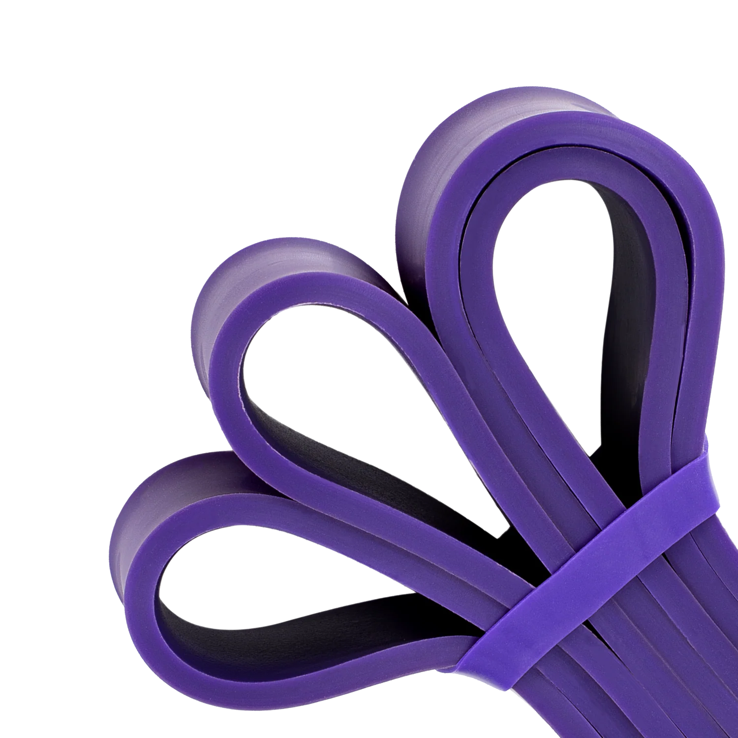 TRAINIX RESISTANCE LOOP BANDS