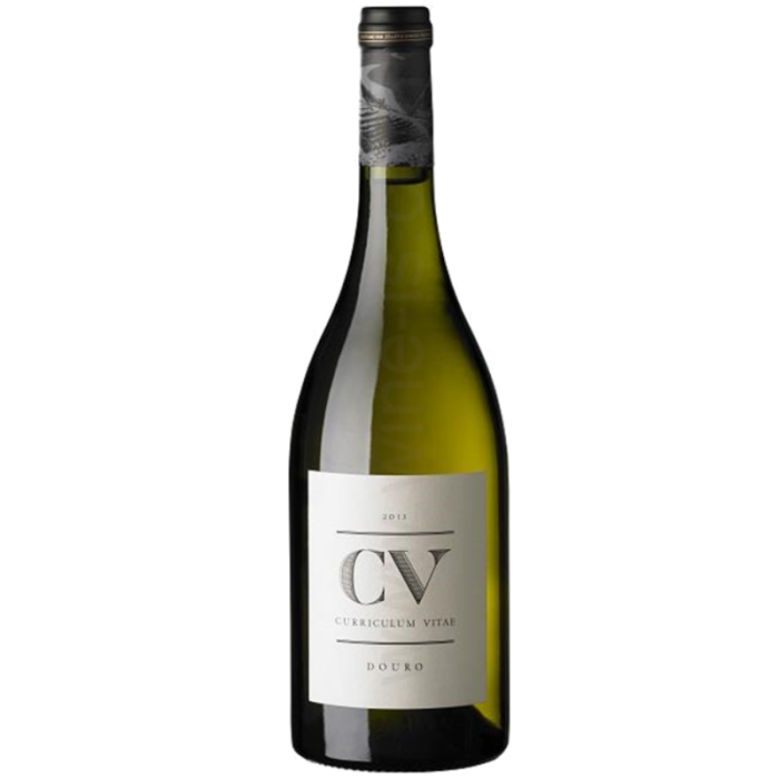 Van Zellers CV Curricum Vitae Douro Branco