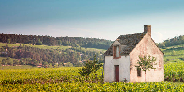 Domaine Roblet-Monnot – Glou Glou