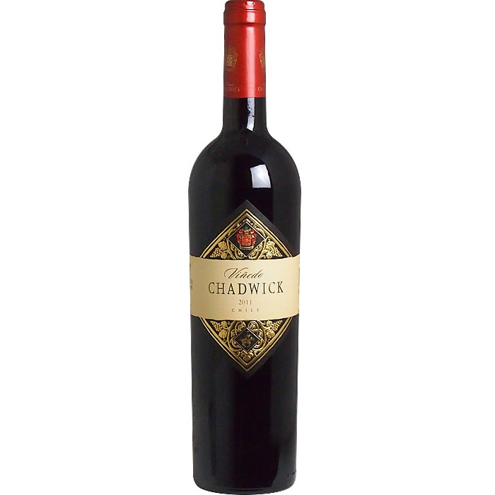 Viñedo Chadwick Maipo Valley 2011