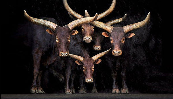 DEEPKEE original nubuck handmade full-grain genuine leather cowhide bag Handmade Personalized harley Leather Bifold Wallet #125_1